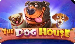 The Dog House at Golden Pharaoh Casino
